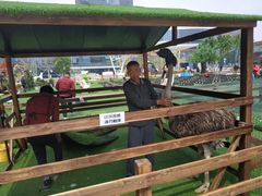 -大族广场Mall&More