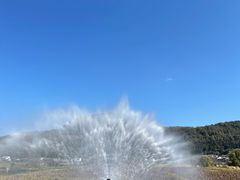 -比顿咖啡(和顺古镇店)