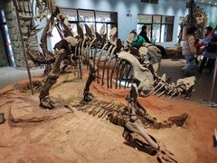 -自贡恐龙博物馆