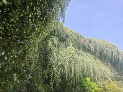 -成都当代影像馆