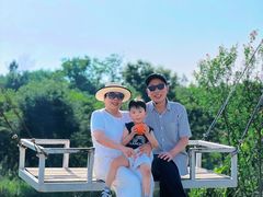 -天目湖涵田半山温泉