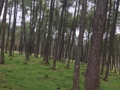 -硗碛藏寨·神木垒景区