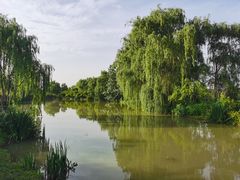 -西安浐灞国家湿地公园