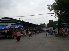 -细村农贸综合市场