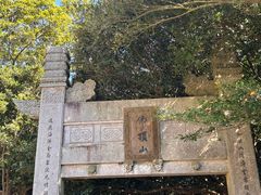 -普陀山风景区-佛顶山