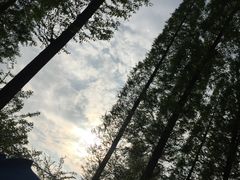 -秀丽东方