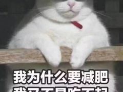 -渝厨生态火锅(合川区府店)