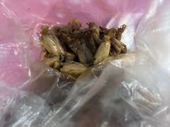-黄毛鸭脖(汉阳总店)