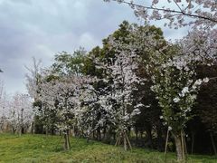 -白鹭湾湿地公园