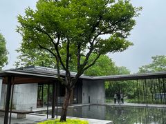 -木守西溪溪隐餐厅
