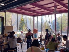 -鸡鸣汤包(红山动物园店)