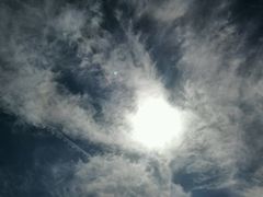 android_upload_pic-塞罕坝国家级自然保护区