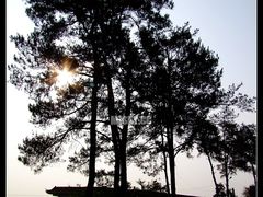 -神光山国家森林公园