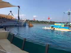 -秦皇岛乐岛海洋王国