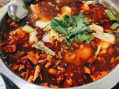 -蜀渔轩美蛙鱼火锅(郫筒店)