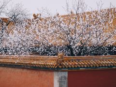 -故宫博物院(故宫)
