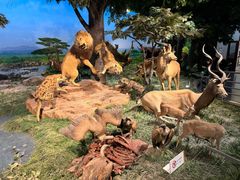 -国家自然博物馆