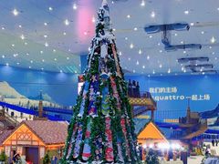 -广州热雪奇迹