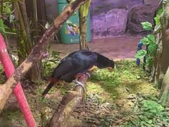 -正佳雨林生态植物园