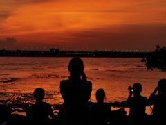 -宝安西湾红树林湿地公园