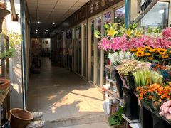 -曲阳花鸟市场(曲阳路店)