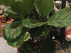 -沼津港精致料理·寿喜烧·烧鸟(龙湖南桥天街日料榜单店)