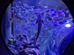 -成都浩海立方海洋公园