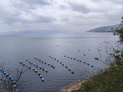 -抚仙湖禄充风景区