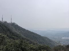 -灵顺寺
