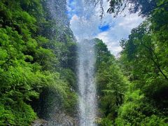 -龙苍沟森林公园