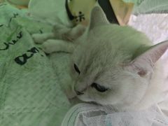 -滆湖低碳生态公园