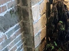 -临街徽菜馆·正宗黄山味