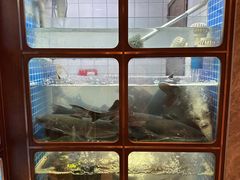 -滇小鱼·云南野生菌火锅(上杭路店)