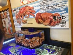 -蟹道乐(道顿堀本店)