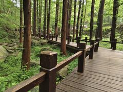 -北京植物园南门售票处