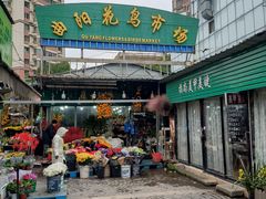 -曲阳花鸟市场(曲阳路店)