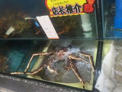-蚝专家(北滘店)