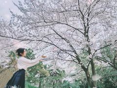 -西安青龙寺遗址景区