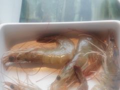 -冠菌火锅自助(东莞樟木头店)