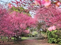 -南京市江宁方山