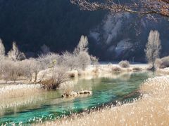 -九寨沟-树正沟