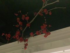 -春天来了(印象新天地店)