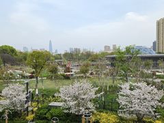 -宁波儿童公园(鄞州区)