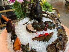 -阿杜打边炉(五江天街店)