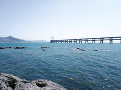 -黑石礁公园