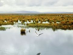 -花湖生态旅游区