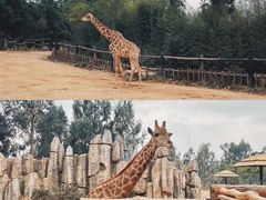 -昆明动物园