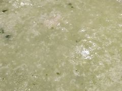 芥菜汁龙趸粥-金华安大酒楼·老牌潮菜·粤式茶点(东方国际店)