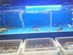 -布多斯烤肉火锅自助(江腾广场店)