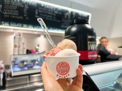 -Lolita's Gelato